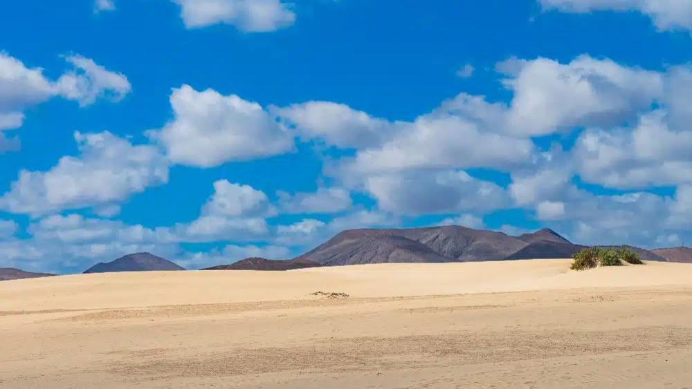 Landschaftsdünen von Corralejo