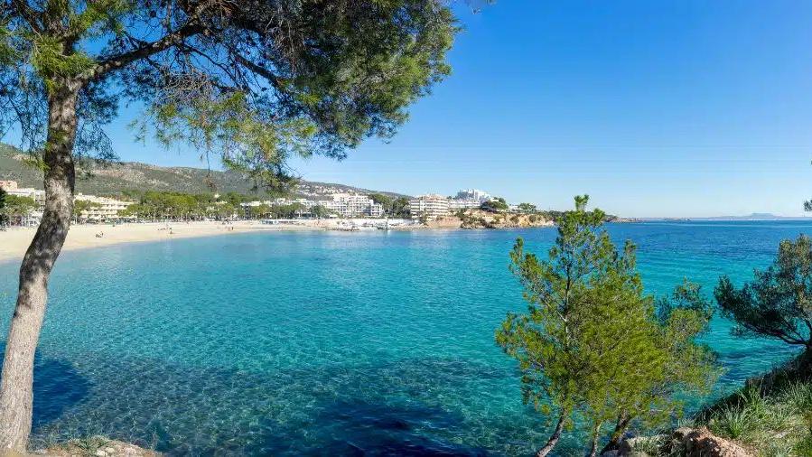 Mallorca - Sonne, Strand und Meer